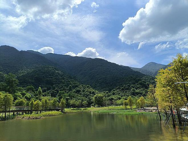 高层建筑火灾逃生自救指南